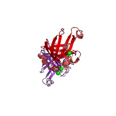 Example Structure of triphosphatase EC#: 3.6.1.25