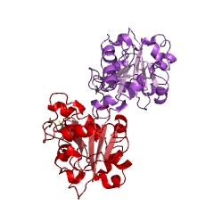 Example Structure of CDP-diacylglycerol diphosphatase EC#: 3.6.1.26
