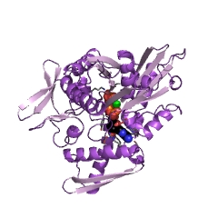Example Structure of adenosinetriphosphatase EC#: 3.6.1.3