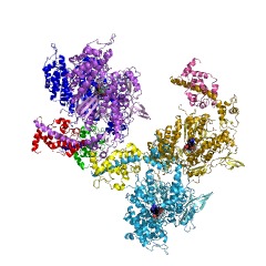 Example Structure of myosin ATPase EC#: 3.6.1.32