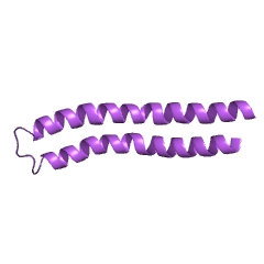 Example Structure of H+-transporting ATP synthase EC#: 3.6.1.34