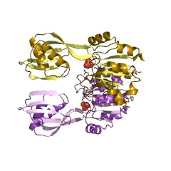 Example Structure of H+/K+ exchanging ATPase EC#: 3.6.1.36