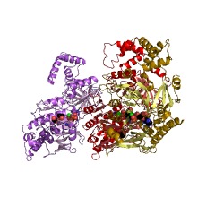 Example Structure of adenosinetriphosphatase (Mg-activated) EC#: 3.6.1.4