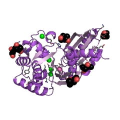 Example Structure of guanosine-5'-triphosphate,3'-diphosphate phosphatase EC#: 3.6.1.40