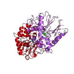 Example Structure of bis(5'-nucleosyl)-tetraphosphatase (symmetrical) EC#: 3.6.1.41