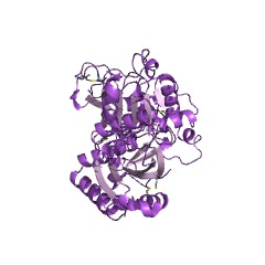 Example Structure of apyrase EC#: 3.6.1.5