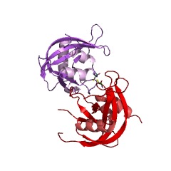 Example Structure of diphosphoinositol-polyphosphate diphosphatase EC#: 3.6.1.52