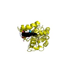 Example Structure of UDP-2,3-diacylglucosamine diphosphatase EC#: 3.6.1.54