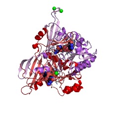 Example Structure of 5'-(N7-methyl 5'-triphosphoguanosine)-[mRNA] diphosphatase EC#: 3.6.1.59