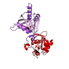 Example Structure of diadenosine hexaphosphate hydrolase (AMP-forming) EC#: 3.6.1.60