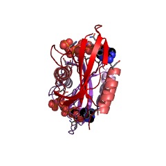 Example Structure of diadenosine hexaphosphate hydrolase (ATP-forming) EC#: 3.6.1.61