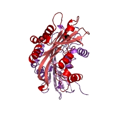 Example Structure of 5'-(N7-methylguanosine 5'-triphospho)-[mRNA] hydrolase EC#: 3.6.1.62