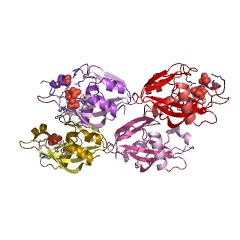 Example Structure of dihydroneopterin triphosphate diphosphatase EC#: 3.6.1.67