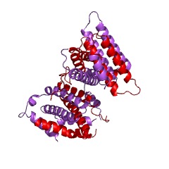 Example Structure of ATP diphosphatase EC#: 3.6.1.8