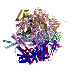 Example Structure of H+-transporting two-sector ATPase EC#: 3.6.3.14