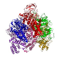 Example Structure of Na+-transporting two-sector ATPase EC#: 3.6.3.15