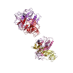 Example Structure of maltose-transporting ATPase EC#: 3.6.3.19