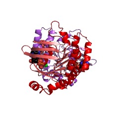 Example Structure of polar-amino-acid-transporting ATPase EC#: 3.6.3.21