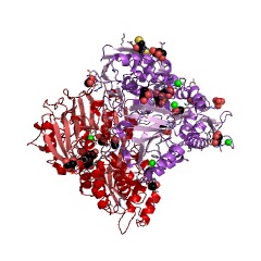 Example Structure of nickel-transporting ATPase EC#: 3.6.3.24