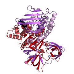 Example Structure of Fe3+-transporting ATPase EC#: 3.6.3.30