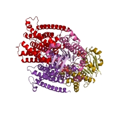 Example Structure of vitamin B12-transporting ATPase EC#: 3.6.3.33