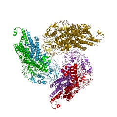 Example Structure of lipopolysaccharide-transporting ATPase EC#: 3.6.3.39