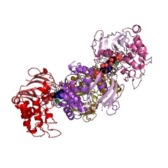 Example Structure of xenobiotic-transporting ATPase EC#: 3.6.3.44
