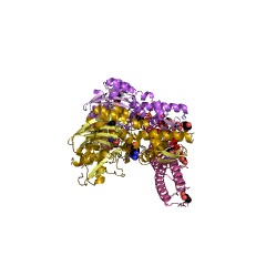 Example Structure of mitochondrial protein-transporting ATPase EC#: 3.6.3.51