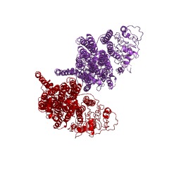 Example Structure of H+-exporting ATPase EC#: 3.6.3.6
