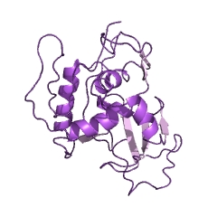 Example Structure of Na+/K+-exchanging ATPase EC#: 3.6.3.9