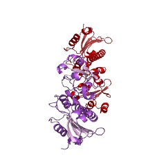 Example Structure of non-chaperonin molecular chaperone ATPase EC#: 3.6.4.10