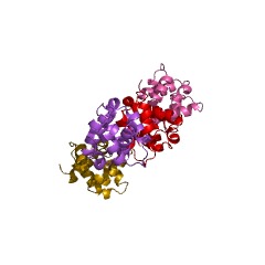 Example Structure of DNA helicase EC#: 3.6.4.12