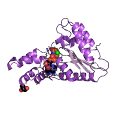 Example Structure of vesicle-fusing ATPase EC#: 3.6.4.6