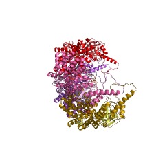 Example Structure of chaperonin ATPase EC#: 3.6.4.9