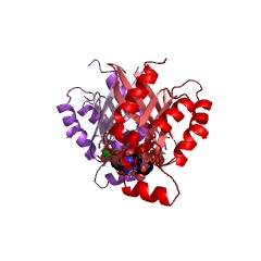 Example Structure of small monomeric GTPase EC#: 3.6.5.2