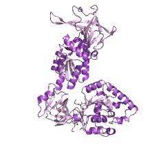 Example Structure of protein-synthesizing GTPase EC#: 3.6.5.3