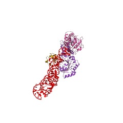Example Structure of signal-recognition-particle GTPase EC#: 3.6.5.4
