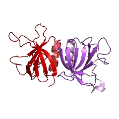 Example Structure of dynamin GTPase EC#: 3.6.5.5