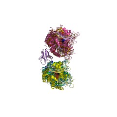 Example Structure of tubulin GTPase EC#: 3.6.5.6