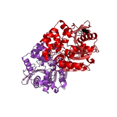 Example Structure of 4,5:9,10-diseco-3-hydroxy-5,9,17-trioxoandrosta-1(10),2-diene-4-oate hydrolase EC#: 3.7.1.17