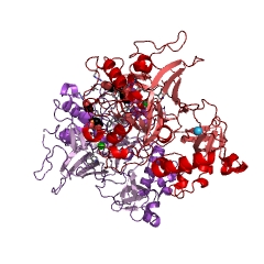 Example Structure of fumarylacetoacetase EC#: 3.7.1.2