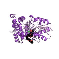 Example Structure of kynureninase EC#: 3.7.1.3