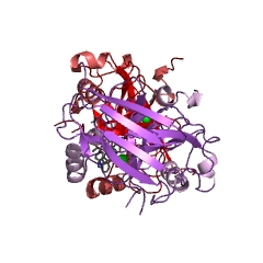 Example Structure of acylpyruvate hydrolase EC#: 3.7.1.5