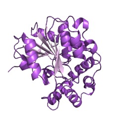 Example Structure of 2,6-dioxo-6-phenylhexa-3-enoate hydrolase EC#: 3.7.1.8