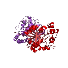 Example Structure of 2-hydroxymuconate-6-semialdehyde hydrolase EC#: 3.7.1.9