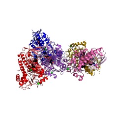 Example Structure of alkylhalidase EC#: 3.8.1.1