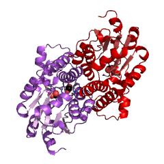 Example Structure of (S)-2-haloacid dehalogenase EC#: 3.8.1.2
