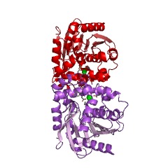 Contoh Struktur haloacetate dehalogenase EC #: 3.8.1.3