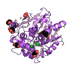 Contoh Struktur haloalkana dehalogenase EC #: 3.8.1.5