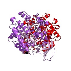 Estructura de ejemplo de atrazina clorhidrolasa EC #: 3.8.1.8